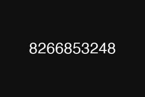 8266853248