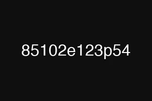 85102e123p54