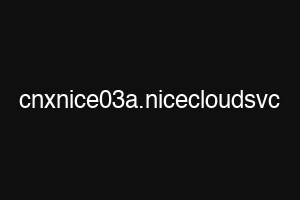 cnxnice03a.nicecloudsvc