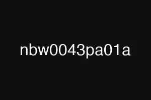 nbw0043pa01a
