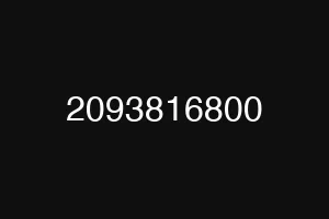 2093816800