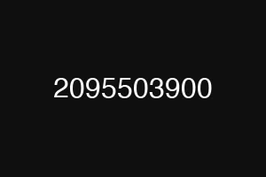 2095503900