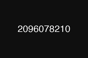 2096078210