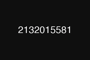 2132015581