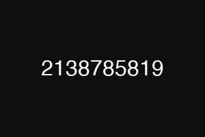 2138785819