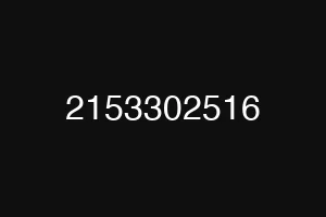 2153302516