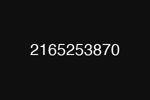 2165253870