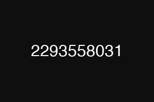2293558031