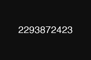2293872423