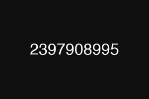 2397908995