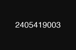 2405419003