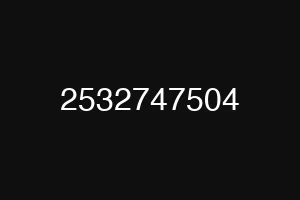 2532747504