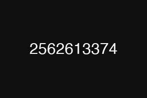 2562613374