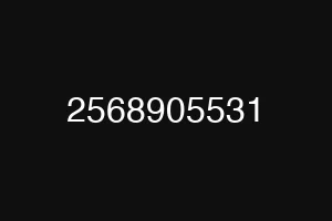 2568905531
