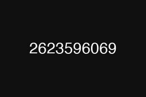 2623596069