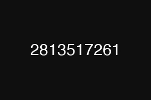 2813517261
