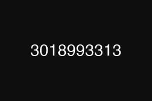 3018993313