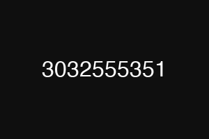 3032555351