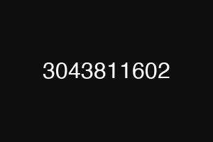 3043811602