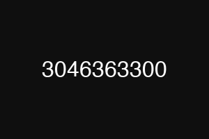 3046363300