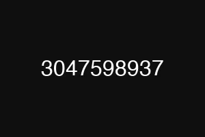 3047598937