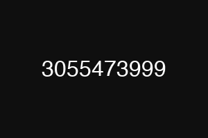 3055473999