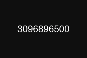 3096896500
