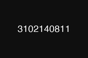 3102140811