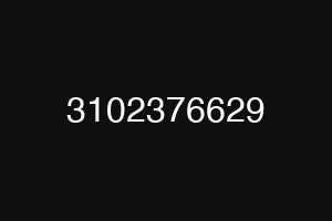 3102376629