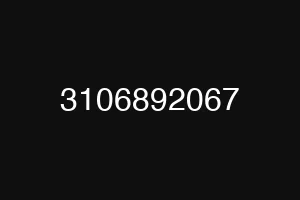 3106892067