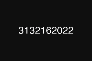 3132162022