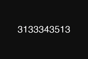 3133343513