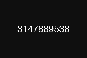 3147889538
