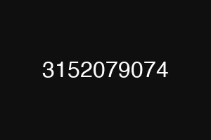 3152079074