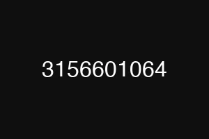 3156601064