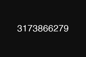 3173866279